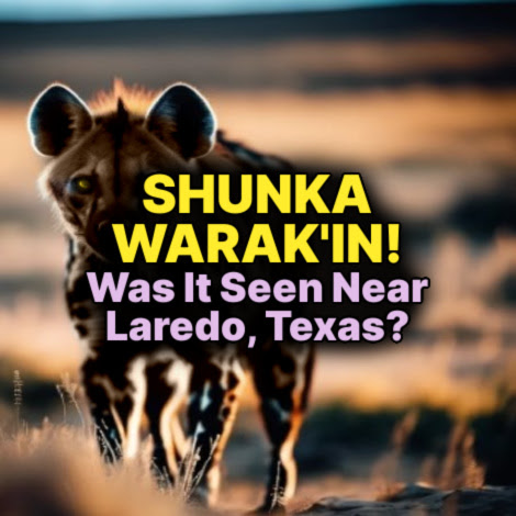 3 young men observed a hyena-like cryptid near Laredo, Texas in the ...